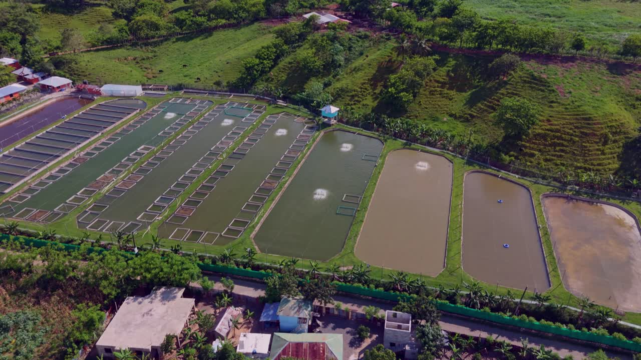 Rectangular aquaculture ponds at fish farm, Dominican Republic. Aerial drone view