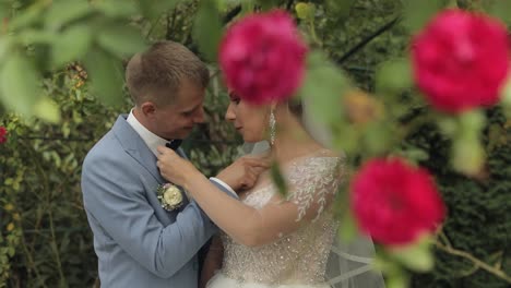 newlyweds. caucasian groom with bride in the park. wedding couple. happy family