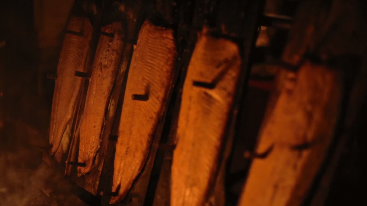 Close up of salmon cooking with a traditional method over a fireplace, Lapland, Finland