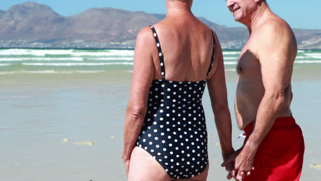 senior couple standing on beach