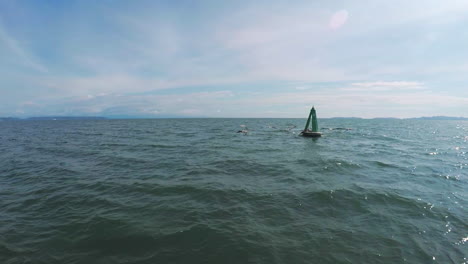 pelicans flying slow motion from buoy floating in slow motion gimbal shot from boat