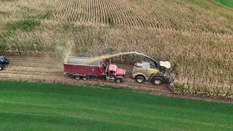 using a forage harvester, corn is chopped for silage and collected in open trailers in a contoured farm field in southwest wisconsin.