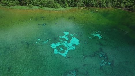 fascinante toma aérea sobre un lago poco profundo cubierto de intrincados patrones de vegetación