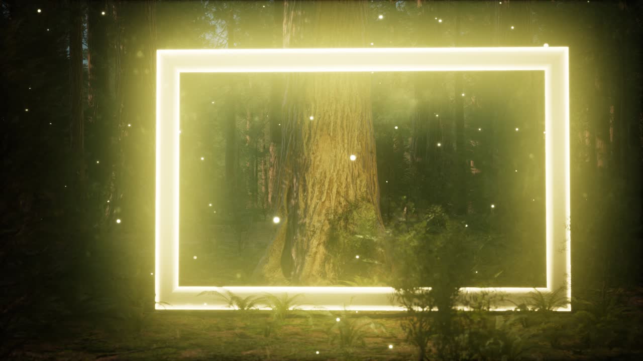 밤의 숲에서 네온 빛나는 직사각형 프레임