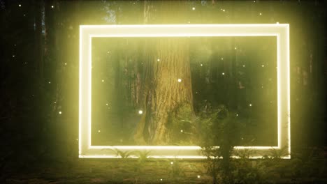 marco rectangular brillante de neón en el bosque nocturno