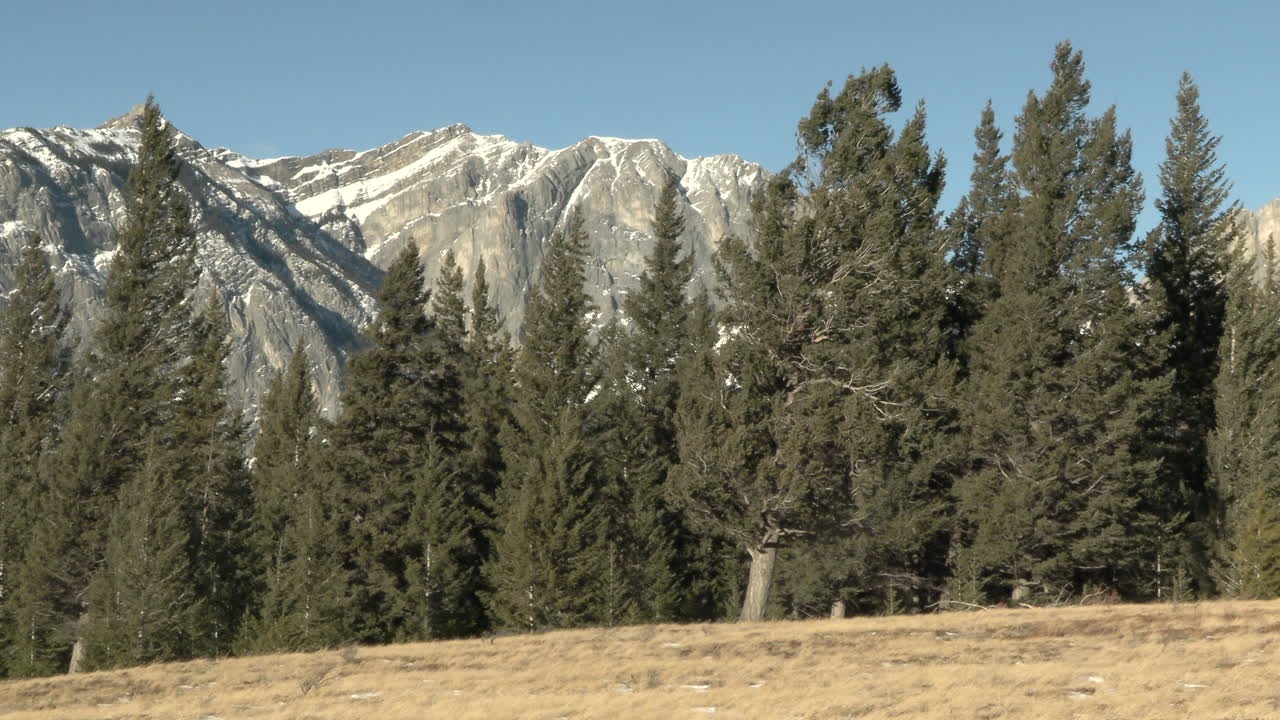Windy day at the foothill of Alberta, with mountains in the background.