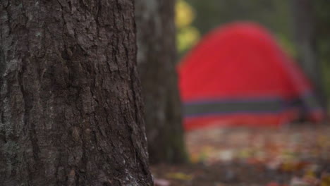 Slow-pan-right-behind-forest-tree-to-colorful-camping-tent