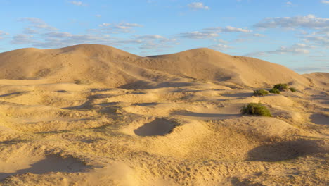 volando hacia adelante sobre el suelo arenoso convertido en un patrón de panal de los fuertes vientos del desierto
