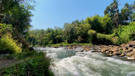 Wide-shot-showing-flowing-Elo-River-during-sunny-day-with-blue-sky-in-tropical-reserve-area,-Indonesia