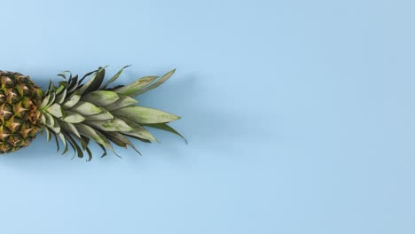 pineapple appear on left ide of pastel blue theme. stop motion