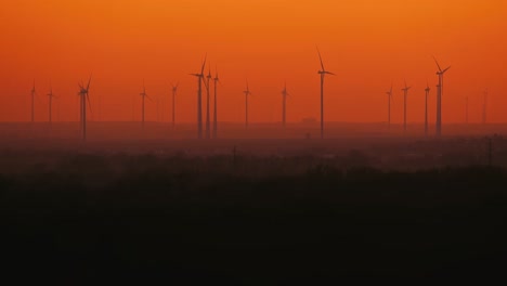 medium shot of several windd turbines working in summer evening.