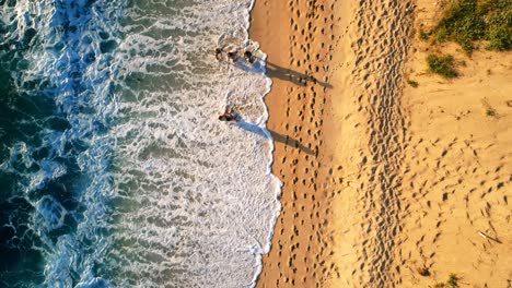tourists walking at beach on a sunny day 4k