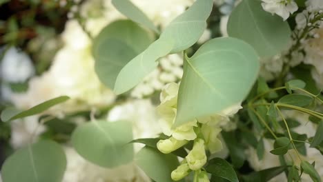 macro close-up of green leaves in a white and green wedding bouquet