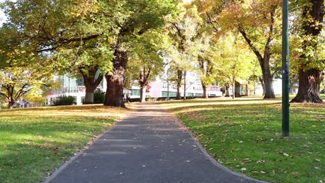 a walk through melbourne's flagstaff gardens