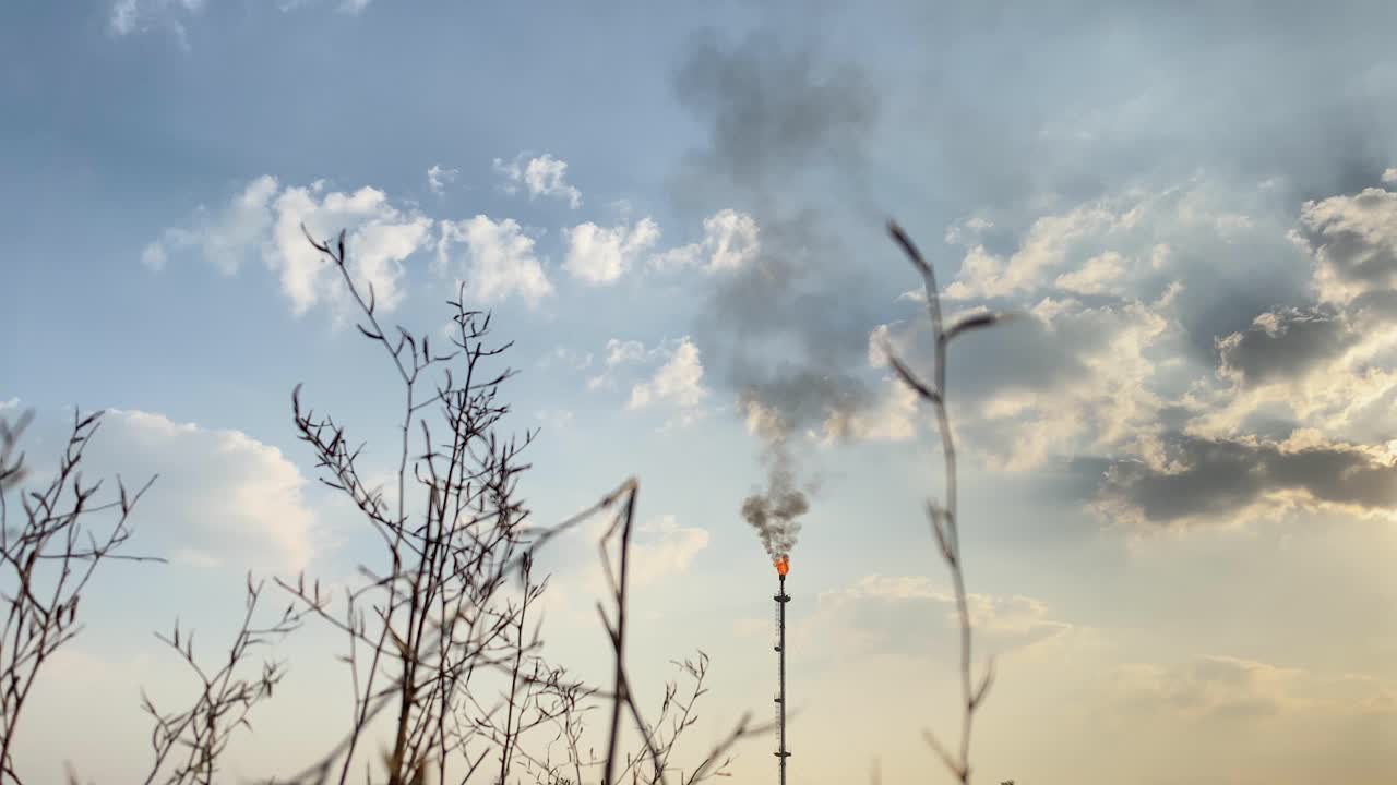 오염된 산업 지역에서 새가 날아다니는 죽은 식물, 가스 플레어 연소