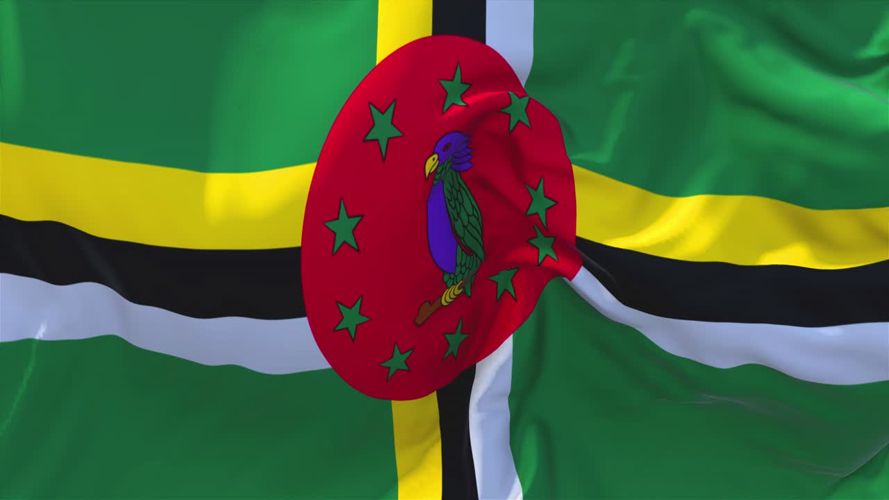 111 bandera de dominica ondeando en el viento animación en cámara lenta 4k textura de tela realista bandera suave