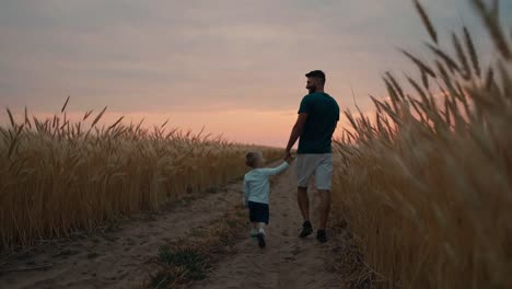 father and son walk in wheat field at sunset