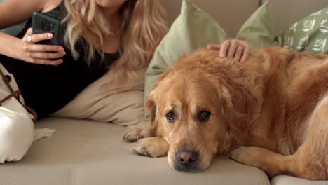 blonde woman sitting on sofa with dog labrador