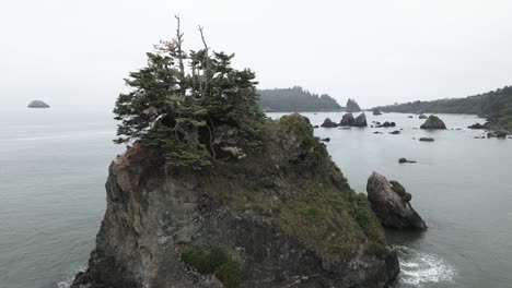 The-untamed-shoreline-of-the-Oregon-coast,-USA,-rugged-beauty