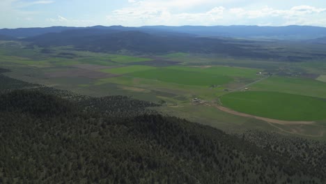 Evergreen-Nature-Landscape-With-Forested-Mountain-And-Meadows-Near-Abert-Rim-In-Lake-County,-Oregon,-USA