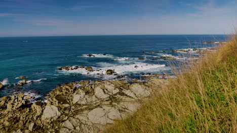 beautiful coastline from kaikoura during sunny day with rocky shore and crashing waves from the ocean