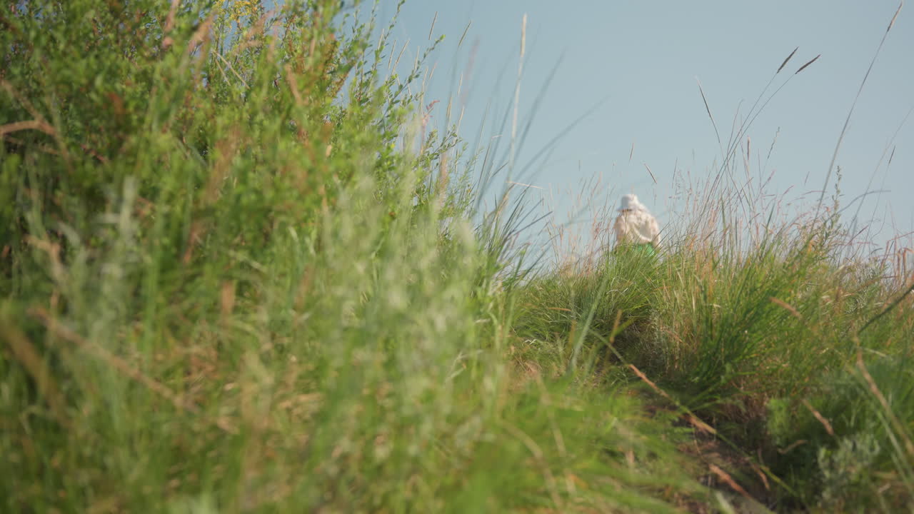 Back view of young woman in green dress and sunhat climbing up grassy hill holding camera in hand, surrounded by tall wild grass and soft natural light under bright clear blue sky