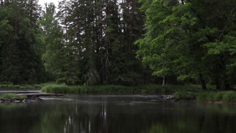 Fog-flowing-over-the-river-"Dalälven"-in-National-park-Gysinge-in-Gästrikland,-Sweden-during-a-summer-day