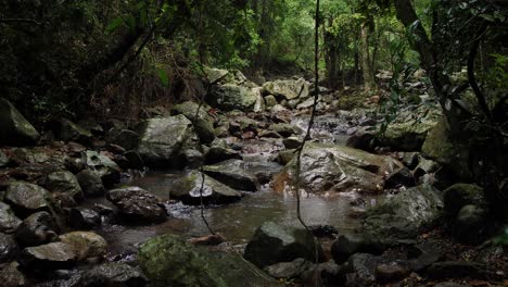 Streams-in-Natural-Bridge,-Springbrook-National-Park,-Gold-Coast-Hinterland,-Australia