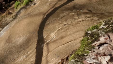 Bachwasser-Schwimmend-In-Der-Schweiz-1