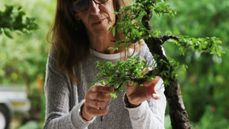 Woman-checking-bonzai-plant-4k