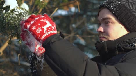 man in winter with red gloves playing with snow on a tree