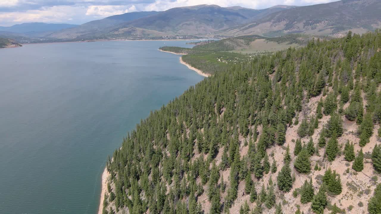 сосны у озера