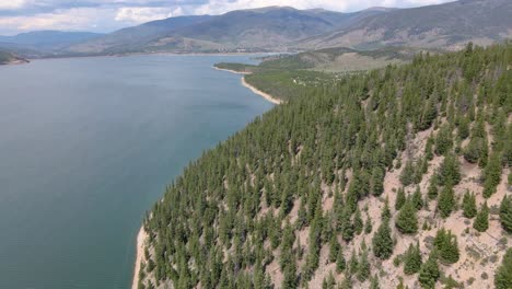 pine trees at the lake