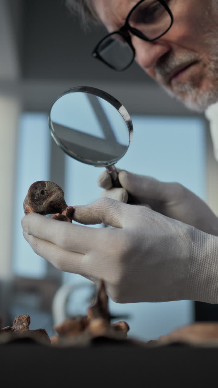 arqueólogo examinando un fósil