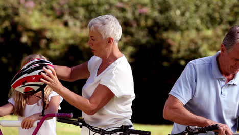 grandchildren and grandparents riding bike