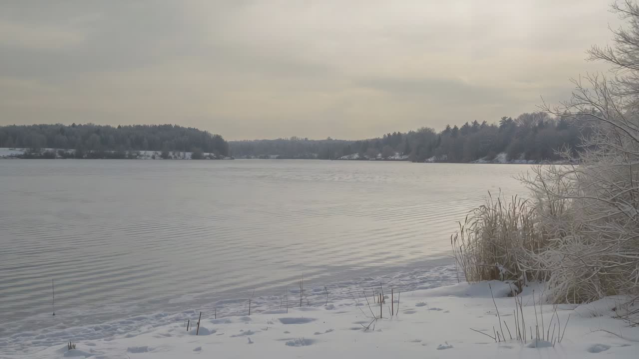 Recording camera capturing lake surface with wind ripples moving left at winter shore, frost reeds