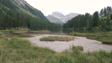 High-mountain-alpine-snow-covered-peaks-and-a-crystal-clean-alpine-stream-surrounded-by-alpine-plants-and-rocks