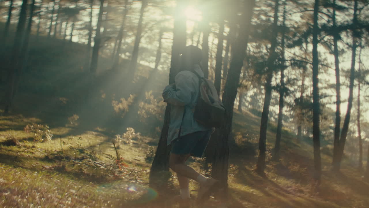 Woman Hiking in a Sunlit Forest