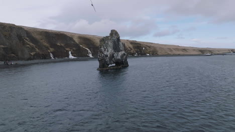 Drone-Shot-of-Gulls-Flying-Above-HvítserkurBasalt-Stack-by-Coastline-of-Iceland