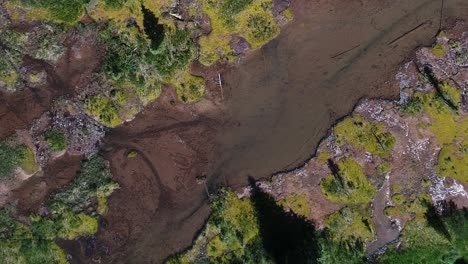 Vertical-aerial-of-crystal-clear-creak-in-a-meadow-at-foothills-of-Rocky-Mountains-in-Colorado