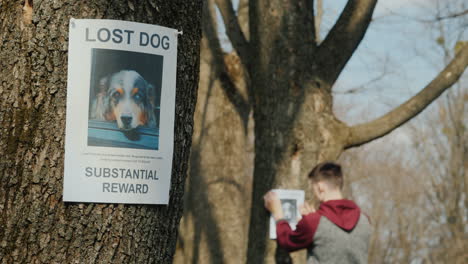 folleto sobre el perro perdido en el fondo un hombre para pegar carteles mascotas perdidas y rastreo de animales