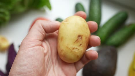 mano sosteniendo una patata rodeada de varias verduras