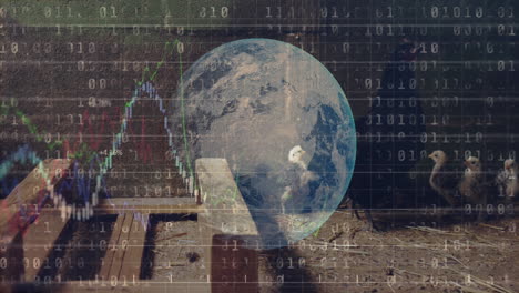 animation of data processing and globe over hens