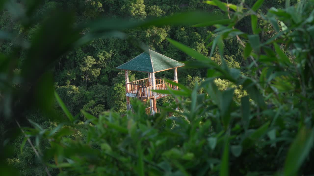 Wooden viewpoint platform glowing with sunlight amidst dense forest of Cat Ba national park, Vietnam