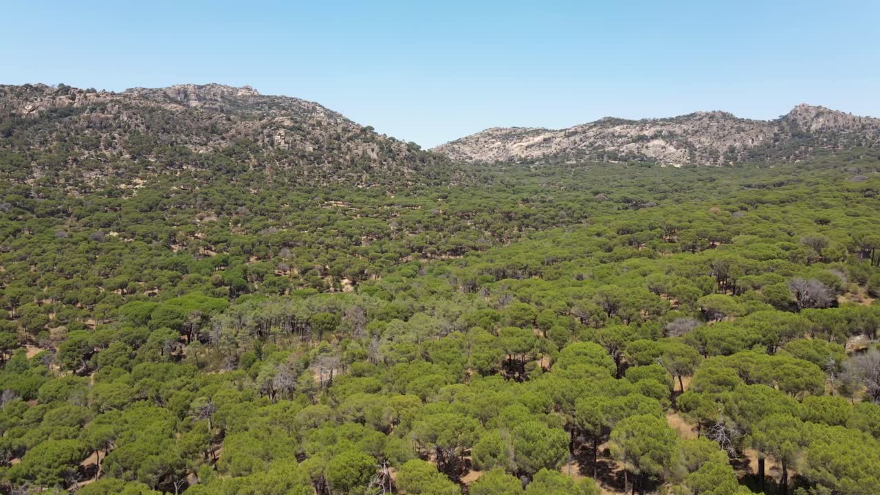 drone aéreo de 4k volando sobre un hermoso bosque verde entre montañas en madrid, españa en un día soleado