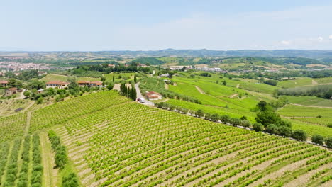 Aerial view circling over vineyard fields and rural farms in sunny Tuscany, Italy
