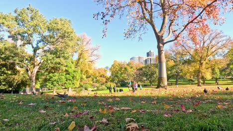 people enjoying a sunny day in park