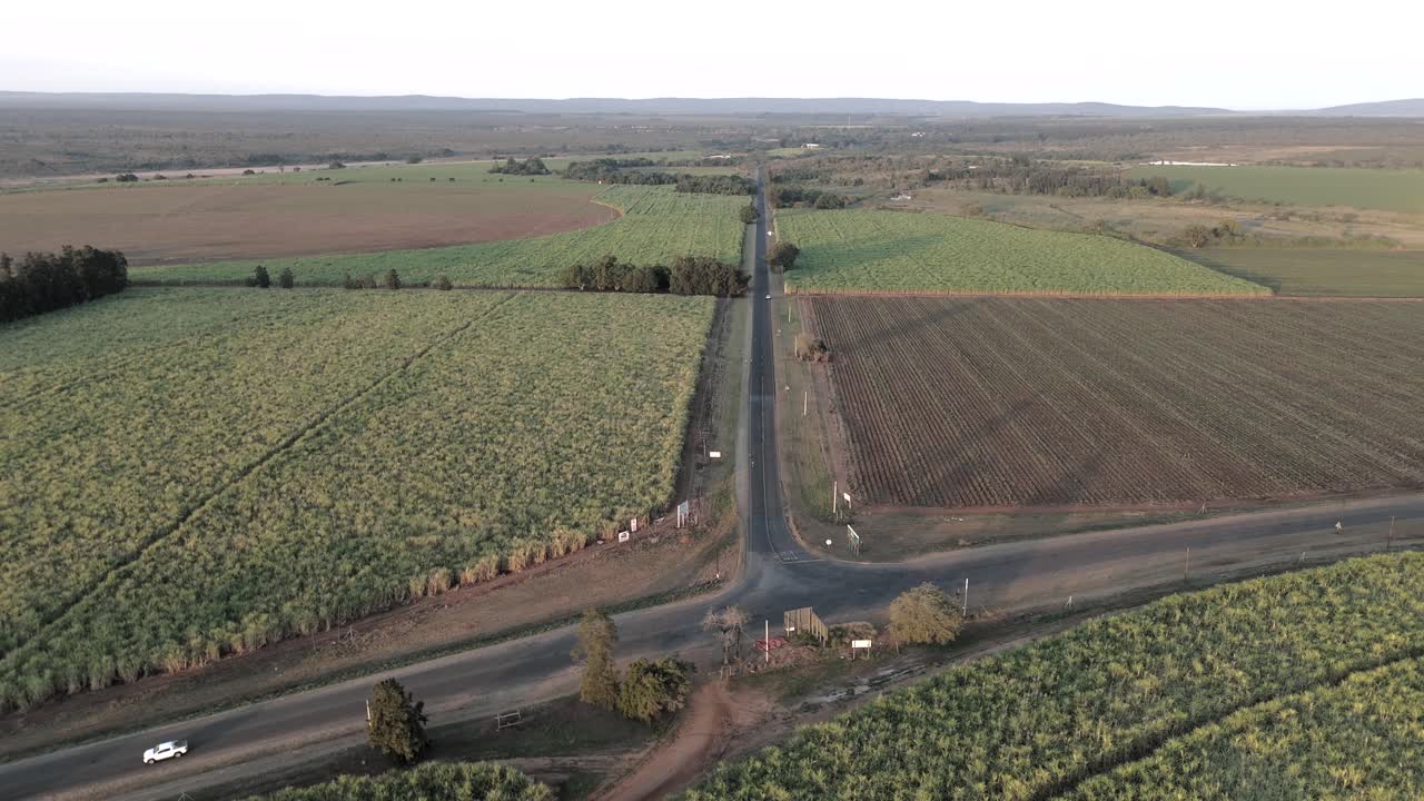 Vuelo de dron con avance lento hacia una intersección, plantaciones de caña de azúcar, vista aérea, Mpumalanga, Sudáfrica