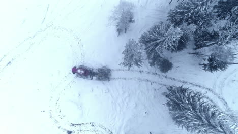 一辆拖拉机在雪地中穿过森林