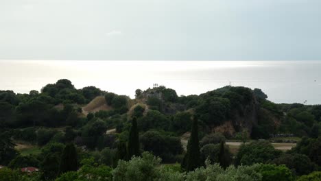 Countryside-scene-of-trees-and-foliage